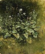 Wild grass Juan Luna